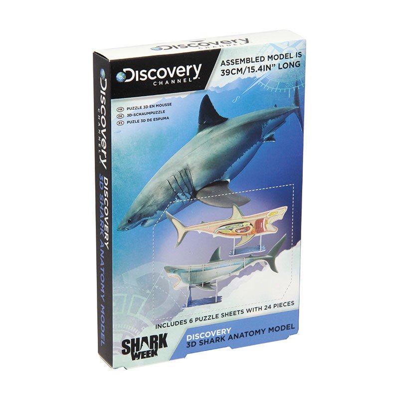 3D Shark Anatomy Construction Model - GeekCore