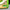 Loungefly Originals Green Dragon Mini Backpack