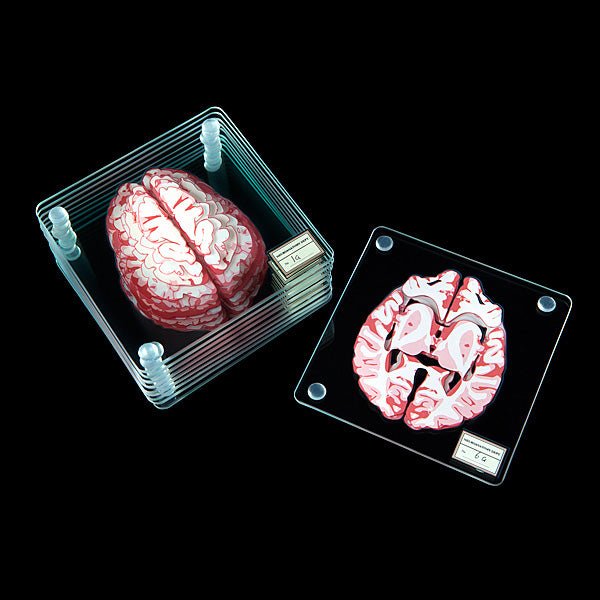 Brain Specimen Coasters - GeekCore