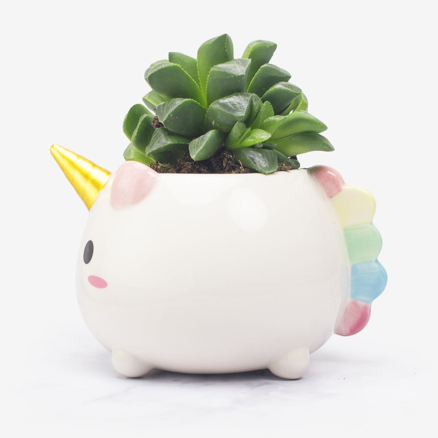 Elodie the Unicorn Planter - GeekCore