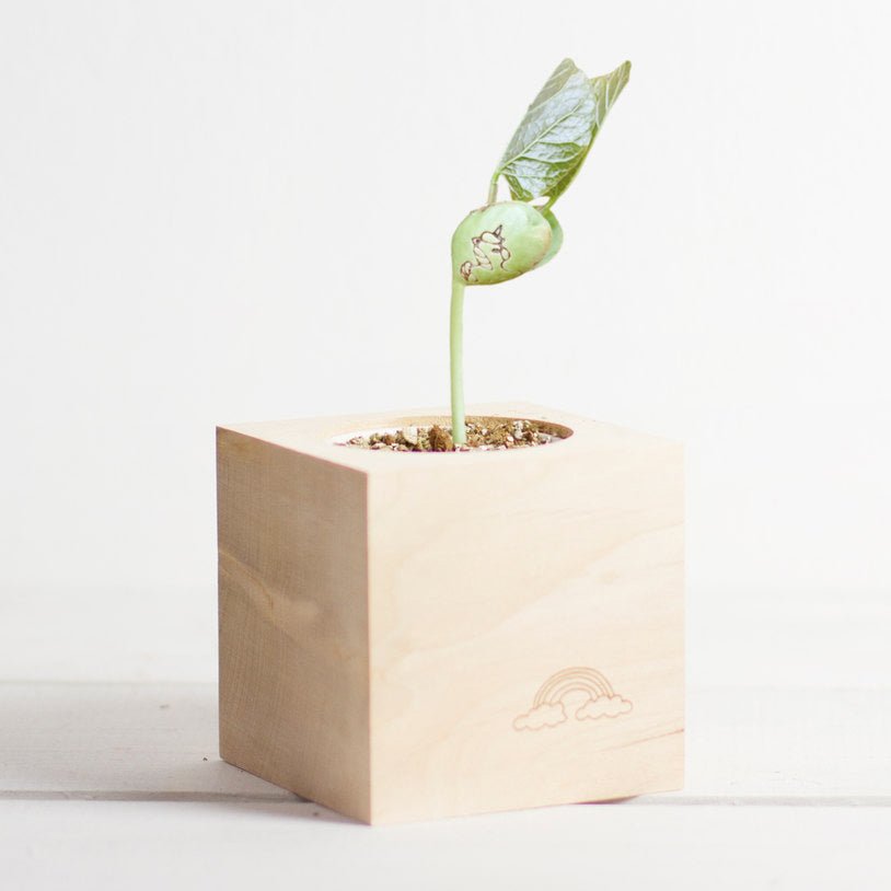 Grow Your Own Unicorn - GeekCore