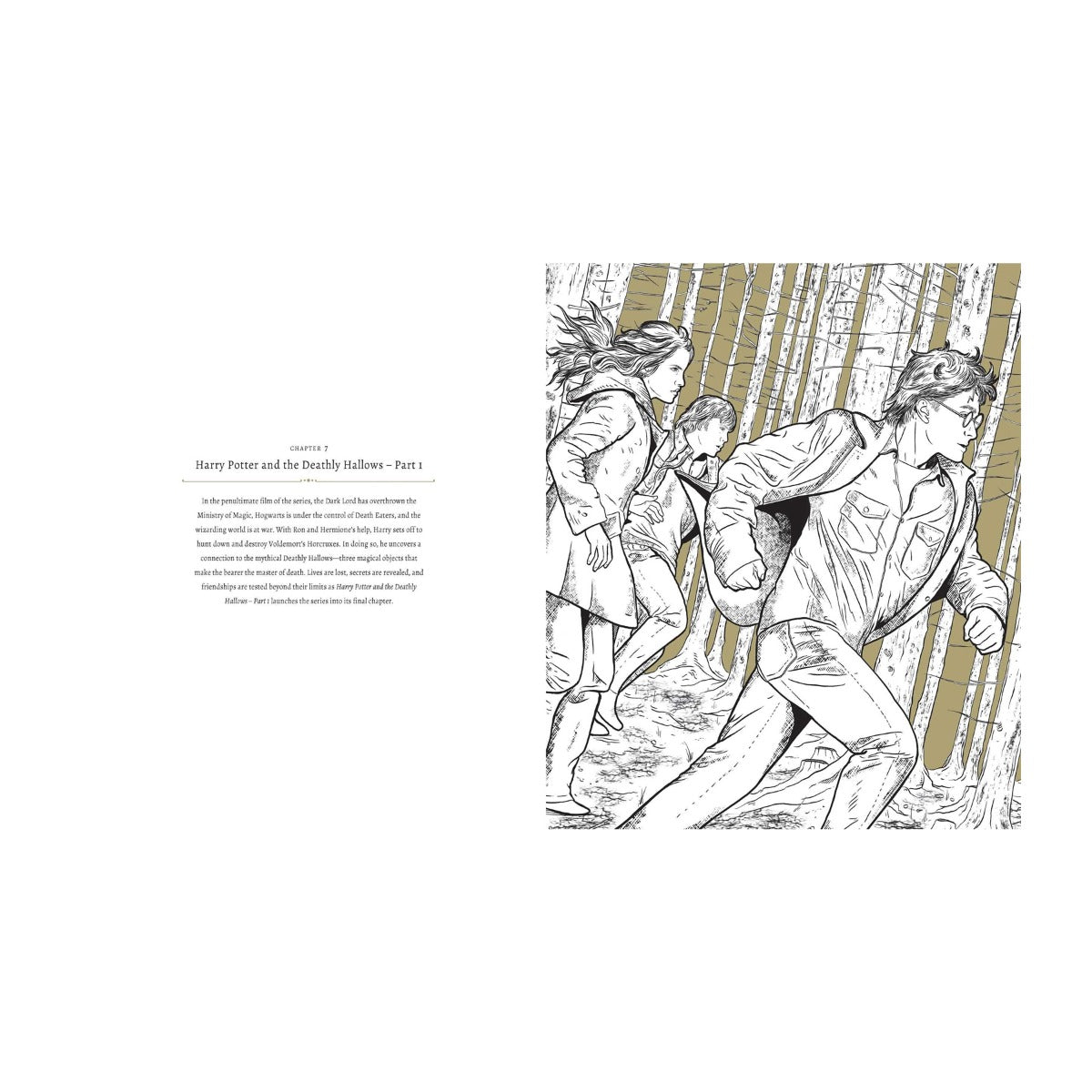 Harry Potter: A Cinematic Gallery - 80 Original Images to Colour and Inspire - GeekCore