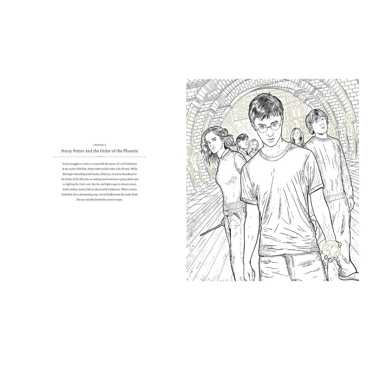 Harry Potter: A Cinematic Gallery - 80 Original Images to Colour and Inspire - GeekCore