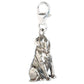 Harry Potter Sterling Silver Charms - GeekCore