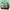 Loungefly x Disney Alice in Wonderland Green Floral Crossbody Bag - GeekCore
