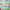 Loungefly x Disney Mickey & Minnie Beach Fun Mini Backpack - GeekCore