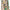 Loungefly x Disney Pocahontas Meeko and Flit Earth Day Handbag - GeekCore