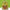 Loungefly x Dreamworks Shrek Keep Out Cosplay Mini Backpack - GeekCore