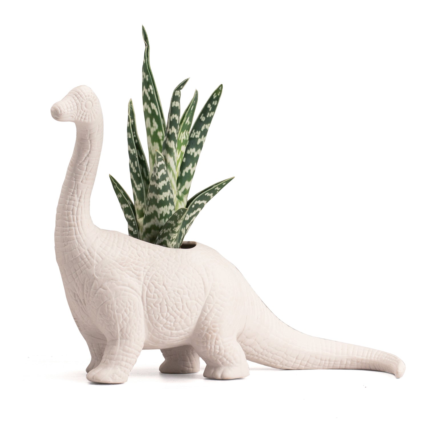 Plantosaurus - GeekCore