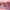 Polly Pocket Heart Cross Body Handbag - GeekCore