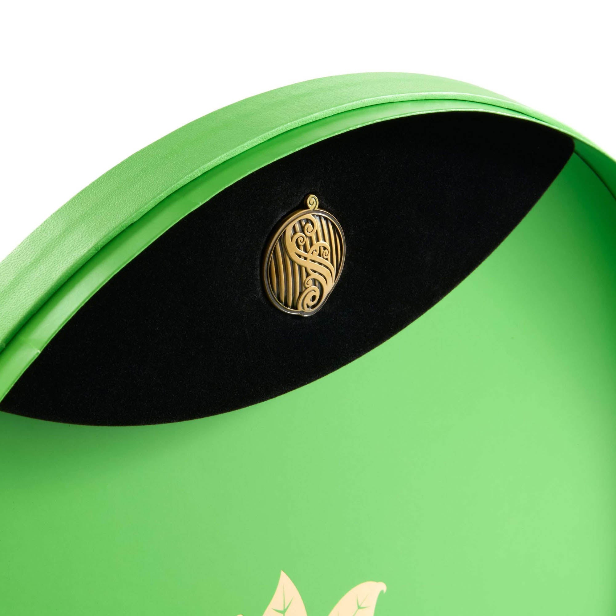 Wicked Elphaba's Hat Adult Collectors Edition - GeekCore